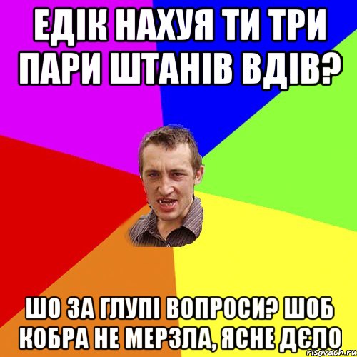 Едік нахуя ти три пари штанів вдів? Шо за глупі вопроси? Шоб кобра не мерзла, ясне дєло, Мем Чоткий паца