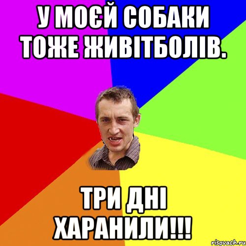 Едик а хто це тобі зуби так повибивав шо аж челюсть зломана, Мем Чоткий паца