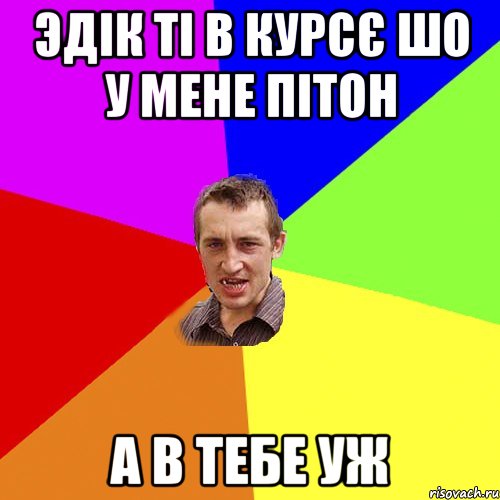 Эдік ті в курсє шо у мене пітон а в тебе уж, Мем Чоткий паца