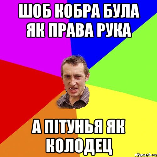 Шоб кобра була як права рука А пітунья як колодец, Мем Чоткий паца