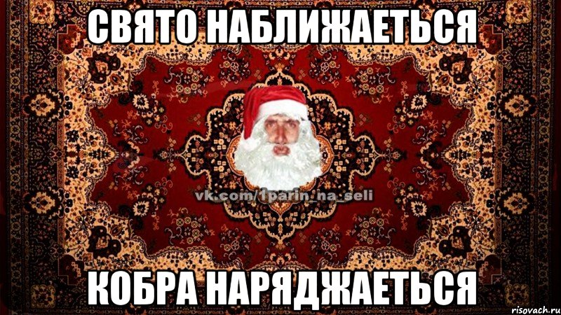 Свято наближаеться кобра наряджаеться