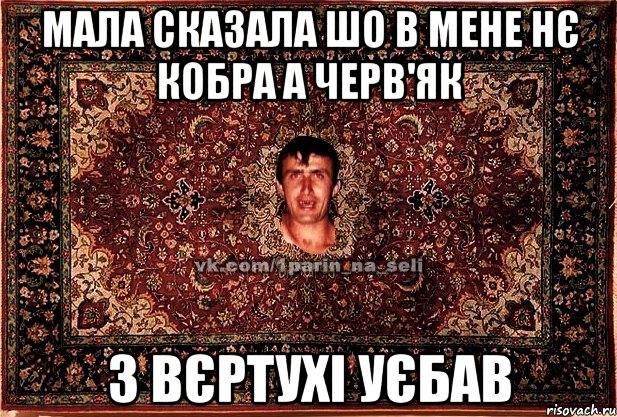 Мала сказала шо в мене нє кобра а черв'як з вєртухі уєбав, Мем Парнь на сел