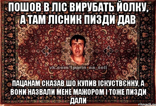 пошов в ліс вирубать йолку, а там лісник пизди дав пацанам сказав шо купив іскуствєнну, а вони назвали мене мажором і тоже пизди дали, Мем Парнь на сел