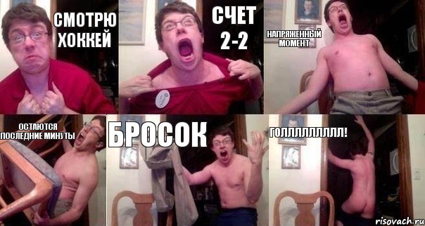 Смотрю хоккей счет 2-2 напряженный момент остаются последние минуты бросок голлллллллл!