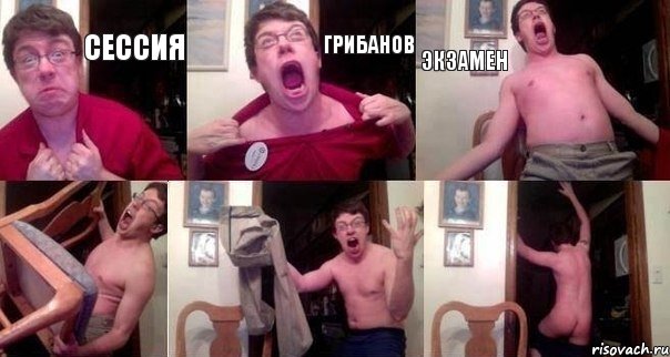 сессия грибанов экзамен   