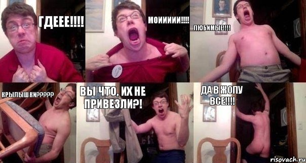 ГДЕЕЕ!!!! МОИИИИИ!!!! ЛЮБИМЫЕ!!!! КРЫЛЫШКИ????? ВЫ ЧТО, ИХ НЕ ПРИВЕЗЛИ?! ДА В ЖОПУ ВСЕ!!!!