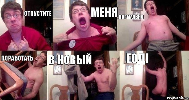 ОТПУСТИТЕ МЕНЯ НОРМАЛЬНО ПОРАБОТАТЬ В НОВЫЙ ГОД!