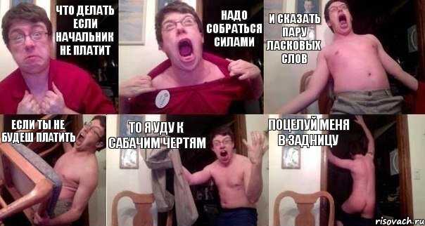Что делать если начальник не платит Надо собраться силами И сказать пару ласковых слов Если ты не будеш платить То я уду к сабачим чертям Поцелуй меня в задницу