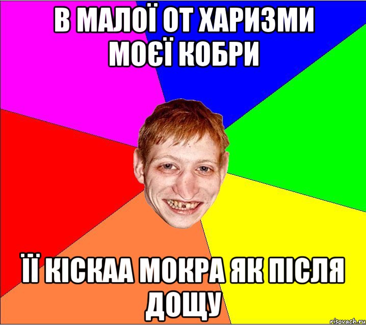 В малої от харизми моєї кобри її кіскаа мокра як після дощу, Мем Петро Бампер