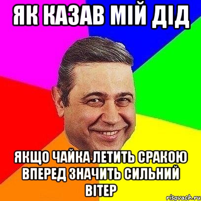 Як казав мій дід якщо чайка летить сракою вперед значить сильний вітер, Мем Петросяныч