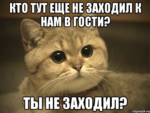 Кто тут еще не заходил к нам в гости? Ты не заходил?, Мем Пидрила ебаная котик