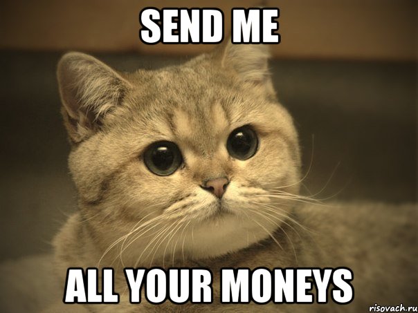 send me all your moneys, Мем Пидрила ебаная котик