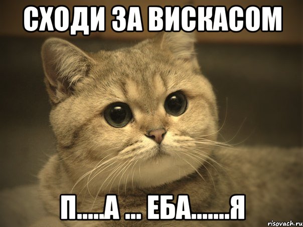 СХОДИ ЗА ВИСКАСОМ П.....а ... Еба.......я, Мем Пидрила ебаная котик