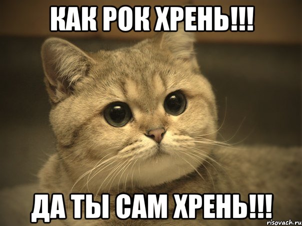 как рок хрень!!! да ты сам хрень!!!, Мем Пидрила ебаная котик