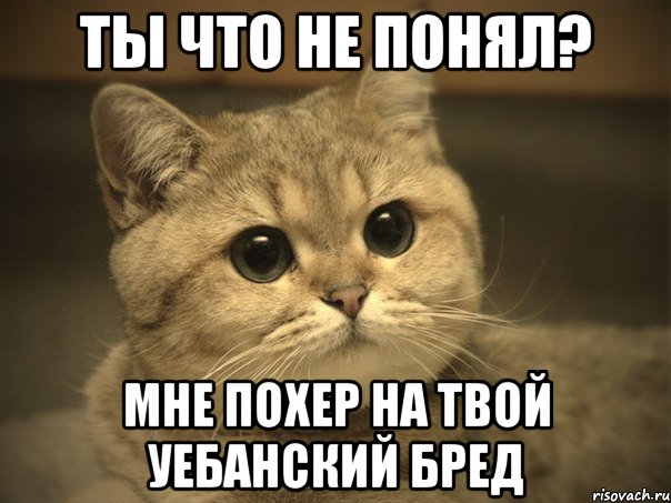 ты что не понял? мне похер на твой уебанский бред, Мем Пидрила ебаная котик