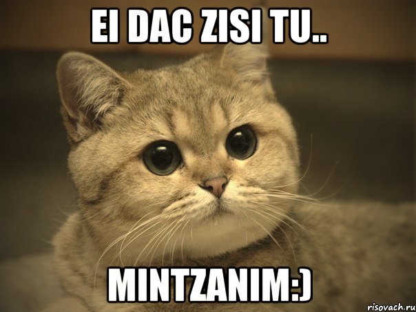 ei dac zisi tu.. mintzanim:), Мем Пидрила ебаная котик