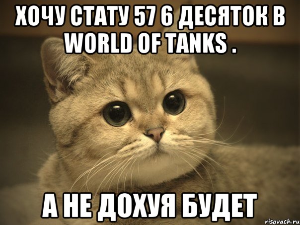 Хочу стату 57 6 десяток в world of tanks . А не дохуя будет, Мем Пидрила ебаная котик