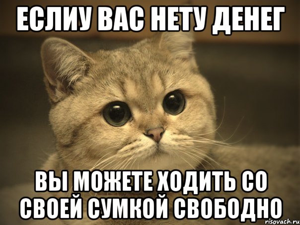 еслиу вас нету денег вы можете ходить со своей сумкой свободно, Мем Пидрила ебаная котик