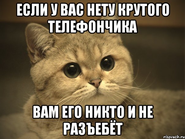 если у вас нету крутого телефончика вам его никто и не разъебёт, Мем Пидрила ебаная котик