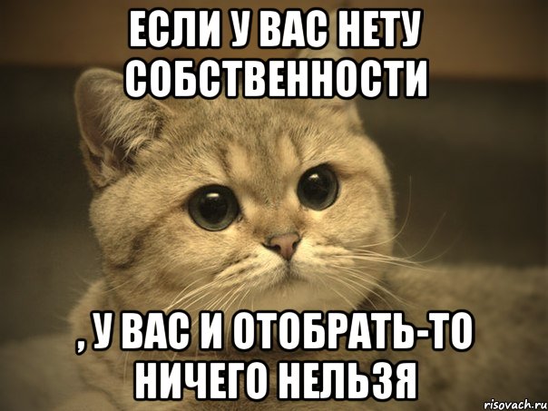 если у вас нету собственности , у вас и отобрать-то ничего нельзя, Мем Пидрила ебаная котик