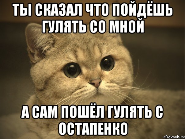 ты сказал что пойдёшь гулять со мной а сам пошёл гулять с Остапенко, Мем Пидрила ебаная котик