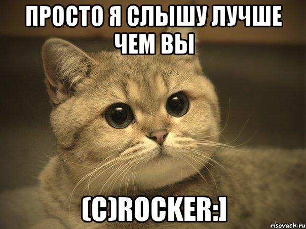 Просто я слышу лучше чем вы (c)Rocker:], Мем Пидрила ебаная котик