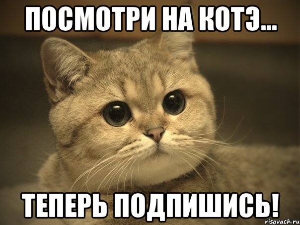 ПОСМОТРИ НА КОТЭ... ТЕПЕРЬ ПОДПИШИСЬ!, Мем Пидрила ебаная котик