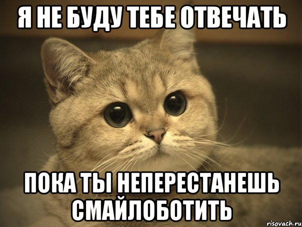 Я не буду тебе отвечать пока ты неперестанешь смайлоботить, Мем Пидрила ебаная котик