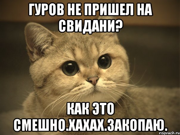 гуров не пришел на свидани? как это смешно.хахах.закопаю., Мем Пидрила ебаная котик