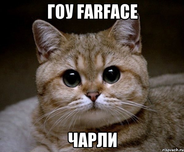 Гоу Farface Чарли, Мем Пидрила Ебаная