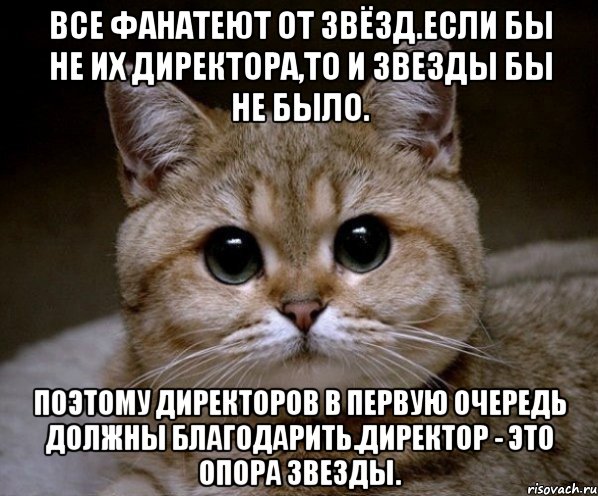 Все фанатеют от звёзд.Если бы не их директора,то и звезды бы не было. Поэтому директоров в первую очередь должны благодарить.Директор - это опора звезды., Мем Пидрила Ебаная