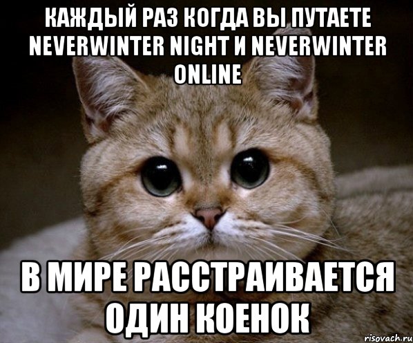 каждый раз когда вы путаете Neverwinter Night и Neverwinter Online В мире расстраивается один коенок, Мем Пидрила Ебаная