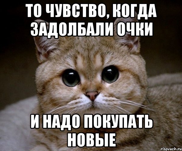 то чувство, когда задолбали очки и надо покупать новые, Мем Пидрила Ебаная