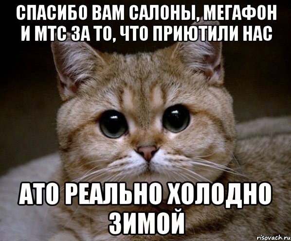 СПАСИБО ВАМ САЛОНЫ, МЕГАФОН И МТС ЗА ТО, ЧТО ПРИЮТИЛИ НАС ато реально холодно зимой, Мем Пидрила Ебаная