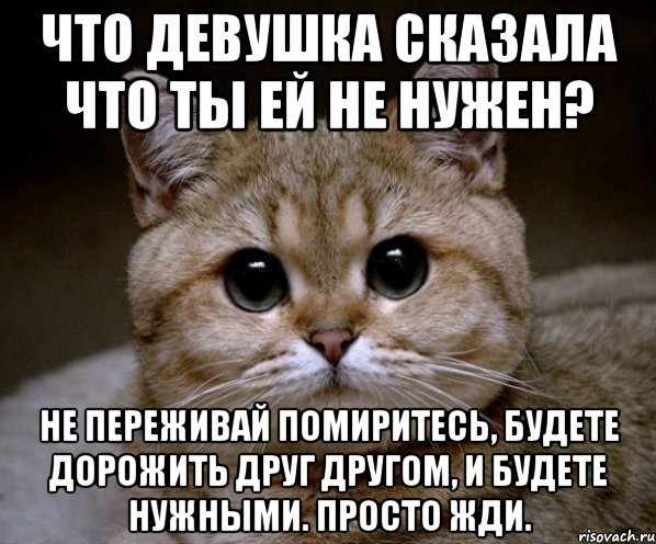 Что девушка сказала что ты ей не нужен? Не переживай помиритесь, будете дорожить друг другом, и будете нужными. Просто жди., Мем Пидрила Ебаная