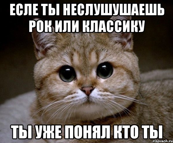 Есле Ты Неслушушаешь Рок Или Классику Ты Уже понял кто ты, Мем Пидрила Ебаная