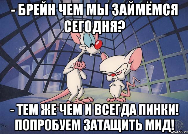 - Брейн чем мы займёмся сегодня? - Тем же чем и всегда пинки! Попробуем затащить мид!