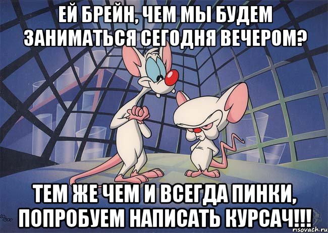 Ей Брейн, чем мы будем заниматься сегодня вечером? Тем же чем и всегда Пинки, попробуем написать курсач!!!, Мем ПИНКИ И БРЕЙН