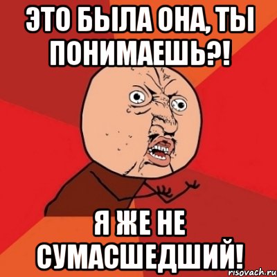 это была она, ты понимаешь?! я же не сумасшедший!, Мем Почему