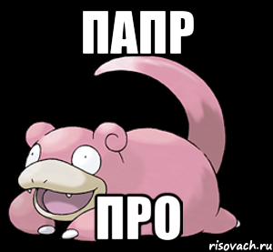 папр про