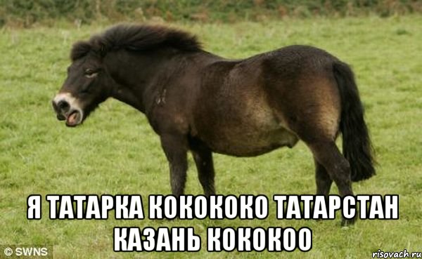  я татарка кокококо татарстан казань кококоо