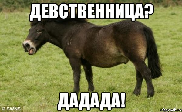 девственница? Дадада!