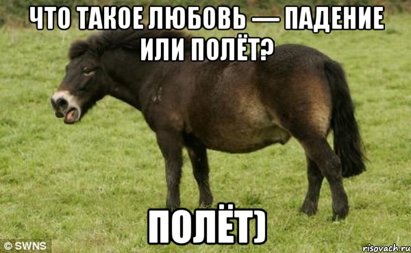 Что такое любовь — падение или полёт? полёт)