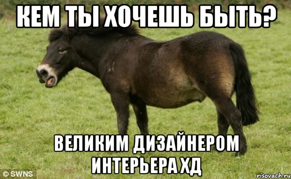 Кем ты хочешь быть? Великим дизайнером интерьера хД