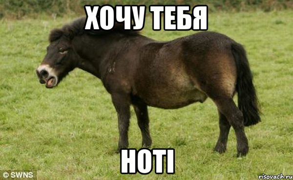 хочу тебя hoti