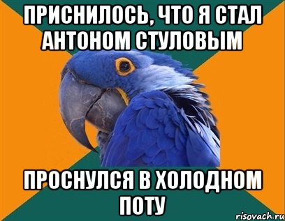 Приснилось, что я стал антоном стуловым проснулся в холодном поту, Мем Попугай параноик