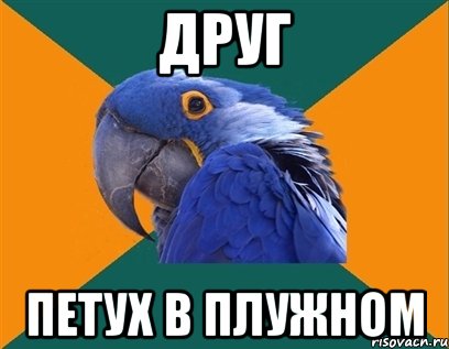 друг петух в плужном, Мем Попугай параноик