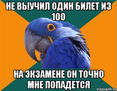 не выучил один билет из 100 на экзамене он точно мне попадется, Мем Попугай параноик