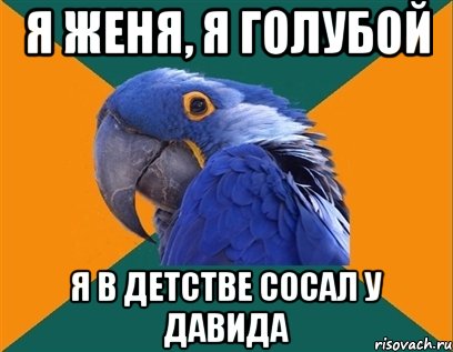 Я Женя, я голубой Я в детстве сосал у Давида, Мем Попугай параноик