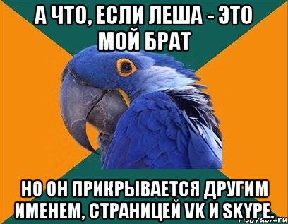 А что, если Леша - это мой брат Но он прикрывается другим именем, страницей VK и SKYPE., Мем Попугай параноик